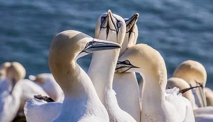 DB视讯官网🏀CUBAL-管子煜29+9 李昕哲空砍22+5 北京大学力克中国矿大