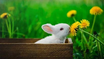 DB电子官网第430场大满贯🎾！德约鏖战3小时，3-1胜法利亚晋级澳网32强！